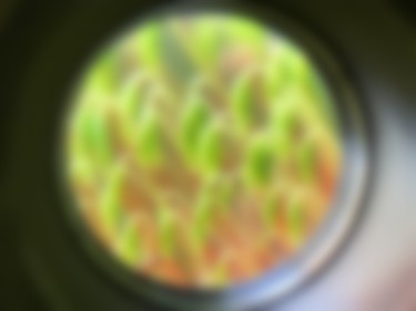 Hero banner placeholder